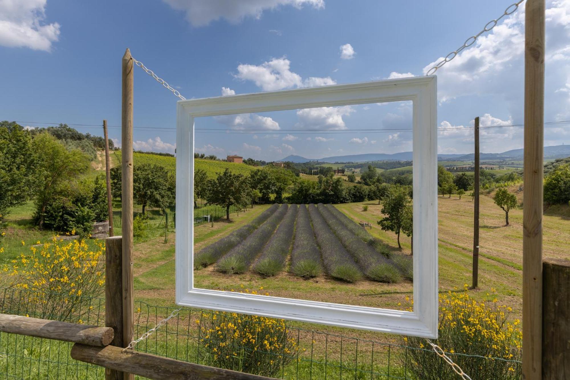 Agriturismo Metina Acquaviva  Exterior foto